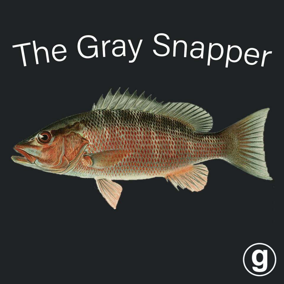 The Gray Snapper