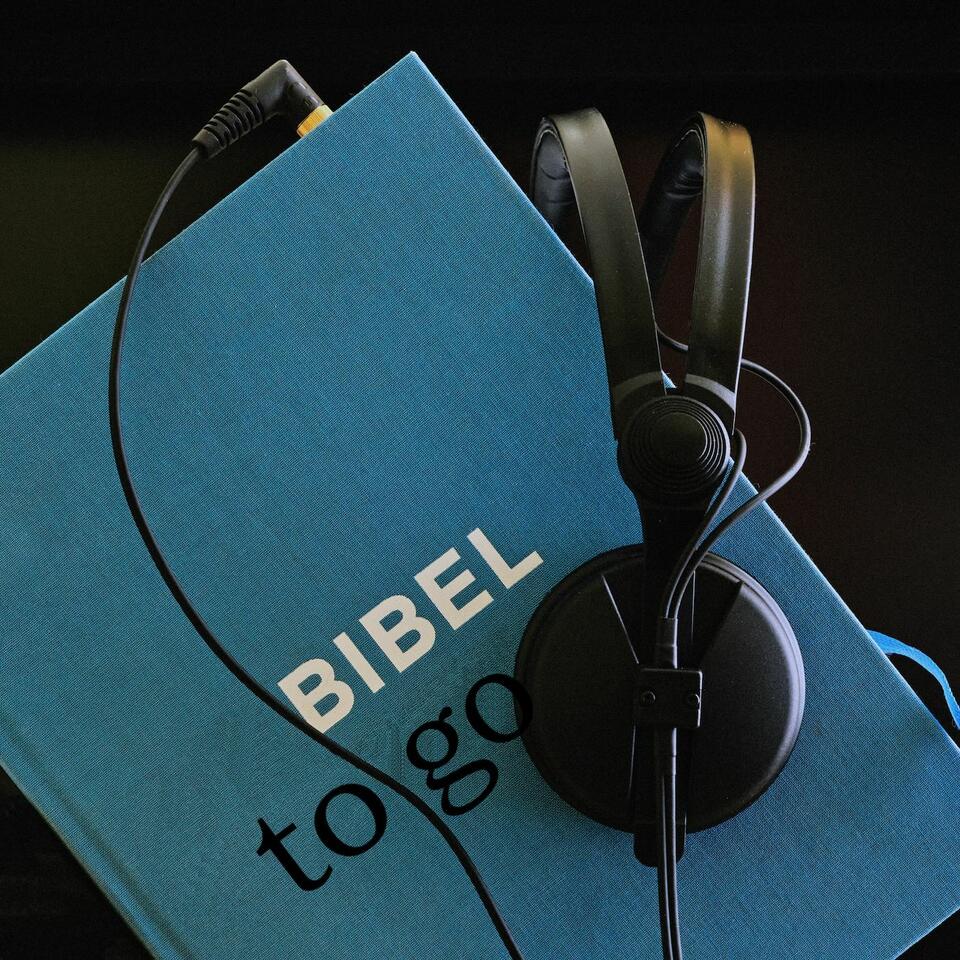 Bibel to go. Die Lesungen des Tages