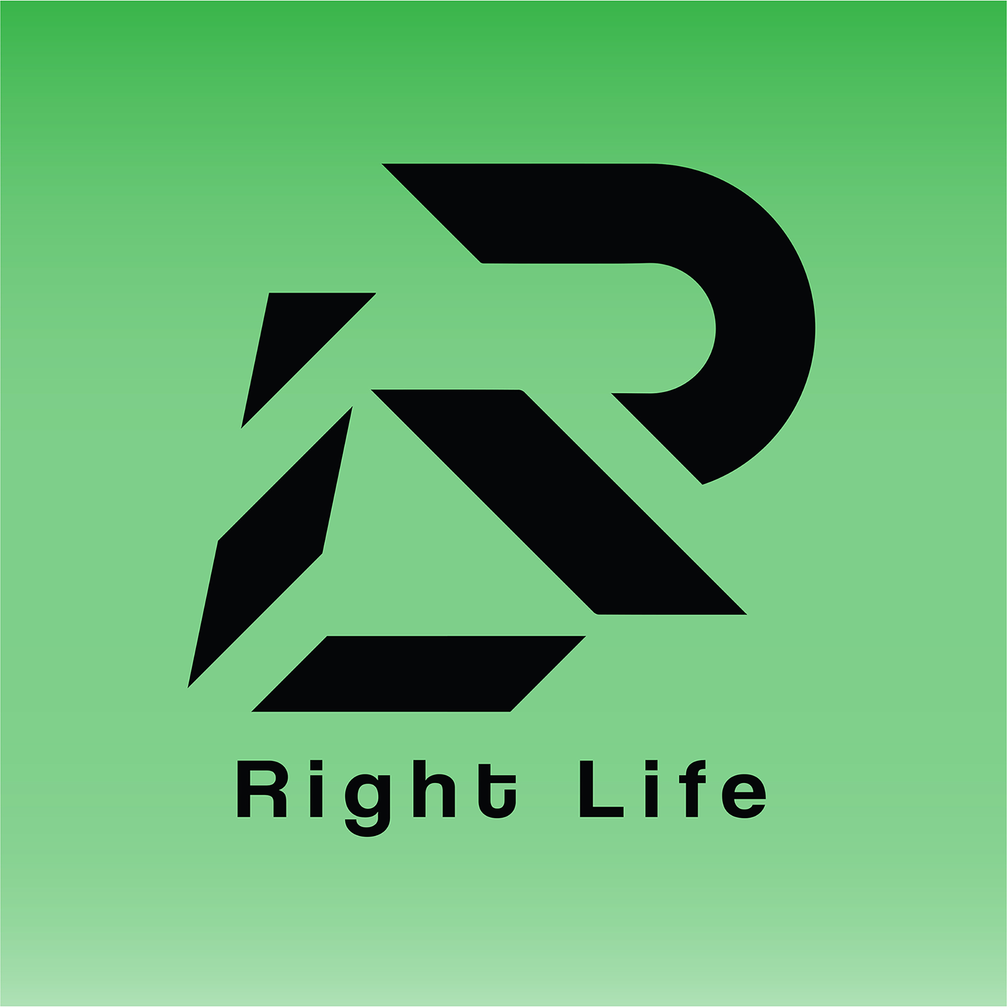 The right to life. Ridis вектор. 2гис лого.