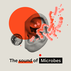 The Sound of Microbes