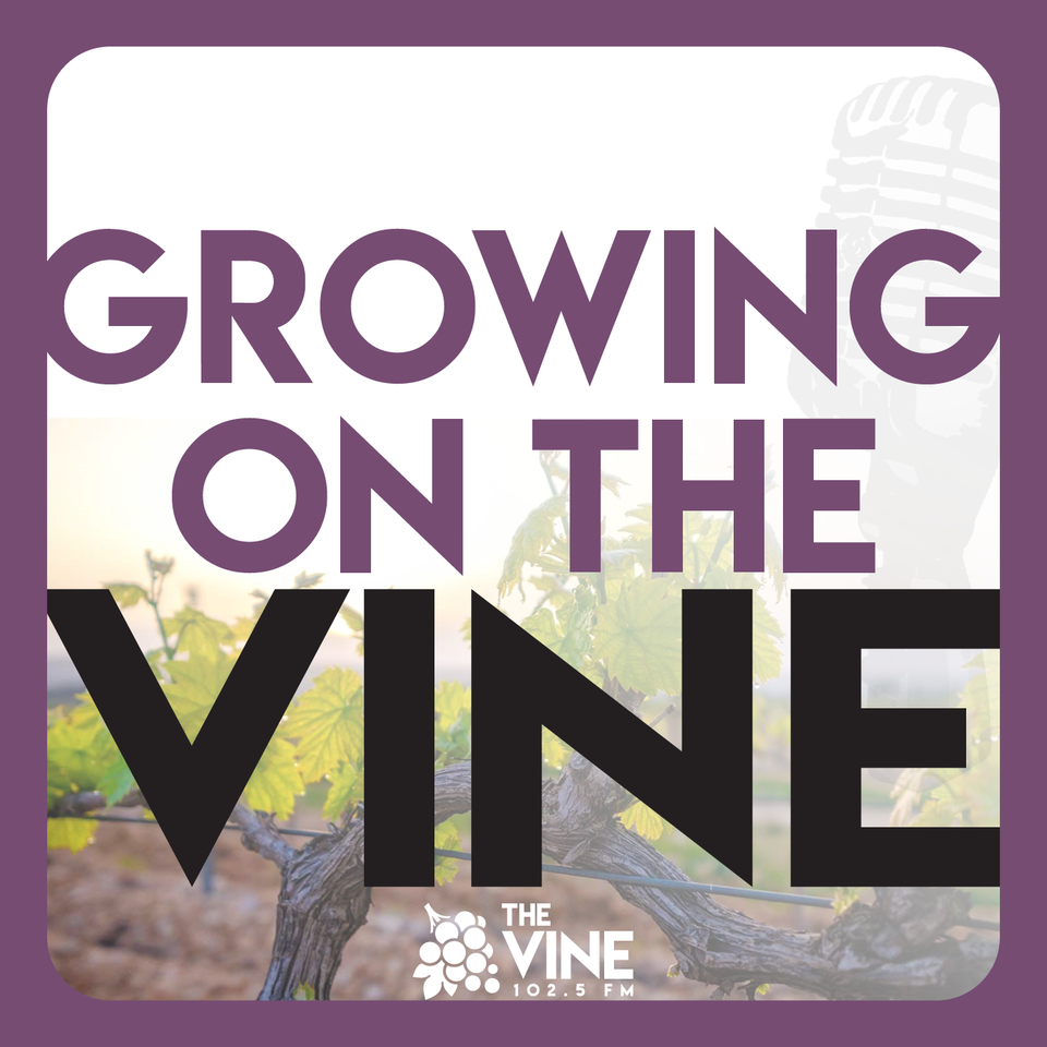 Growing on The Vine