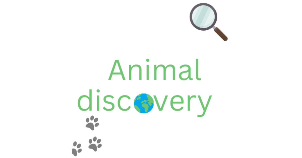 Animal discovery | iHeart