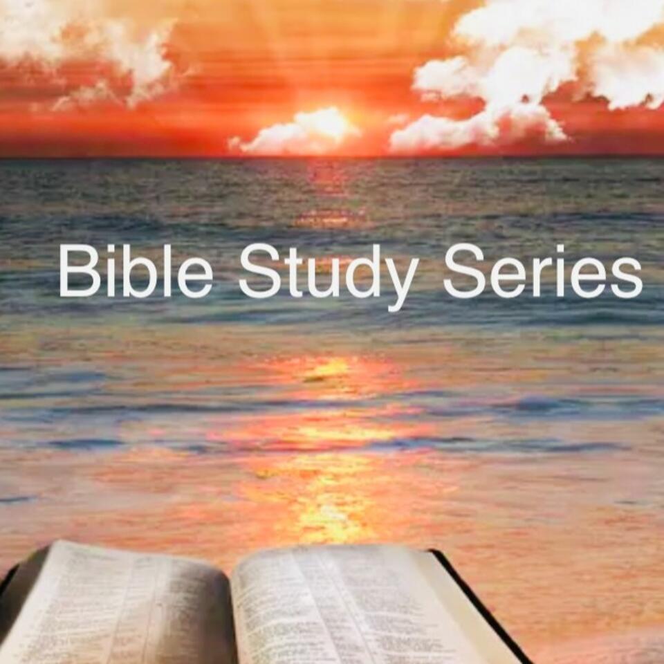 The Bible Study Series