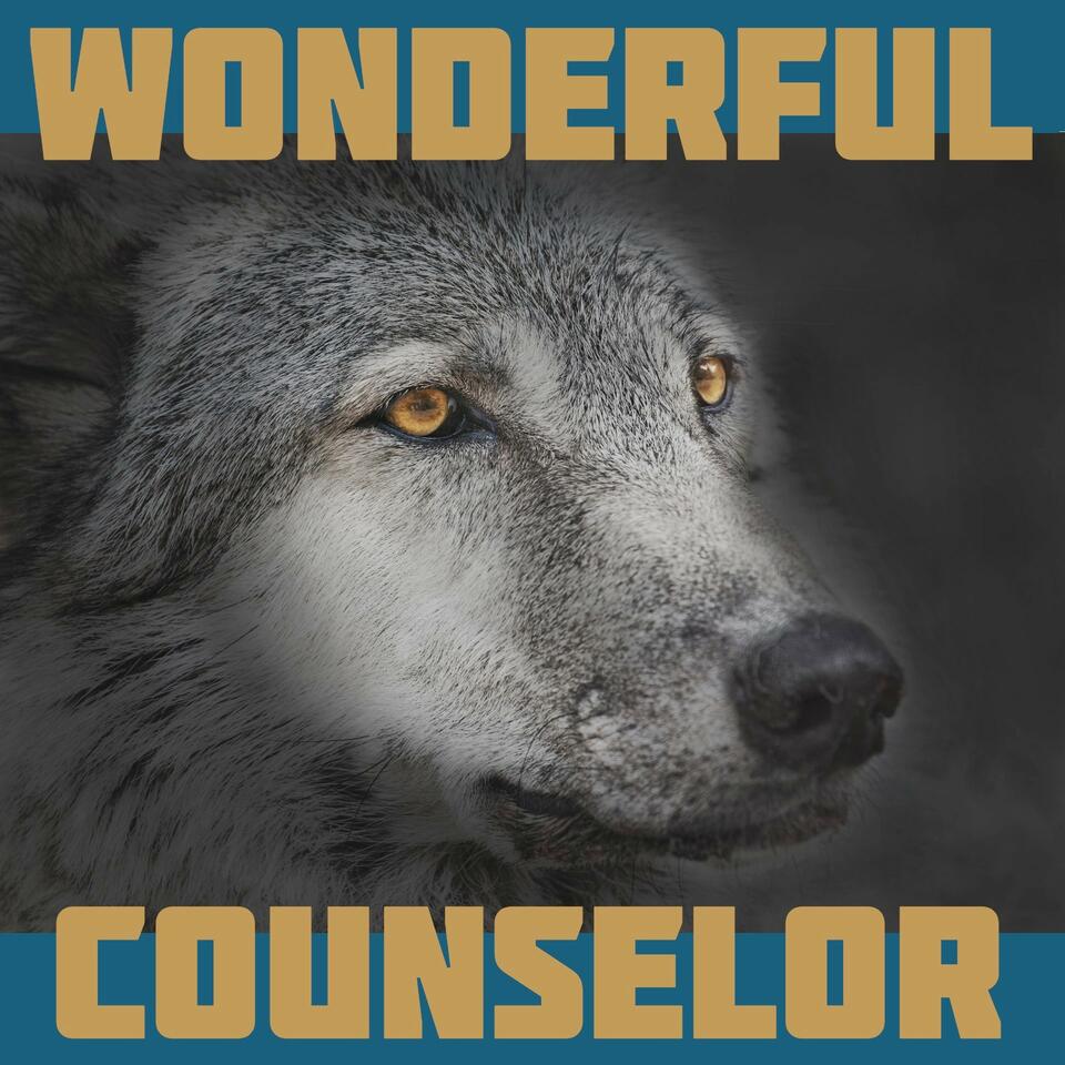 wonderful counselor