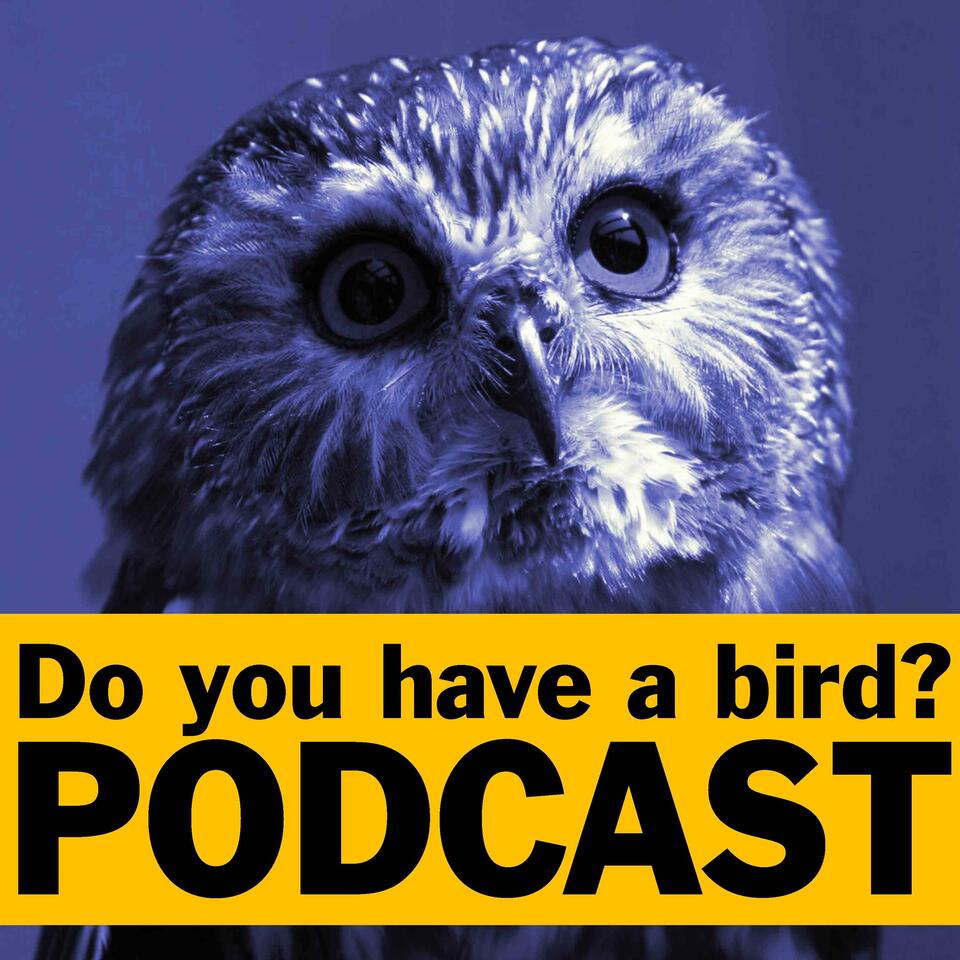 Do you have a bird? - Podcast