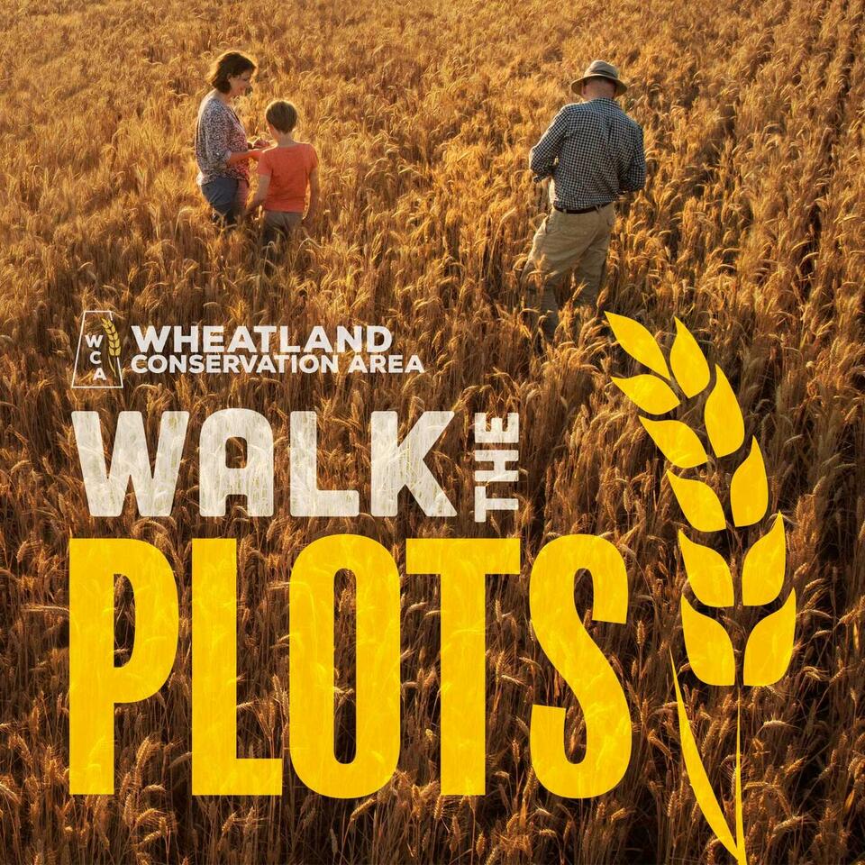 Walk the Plots