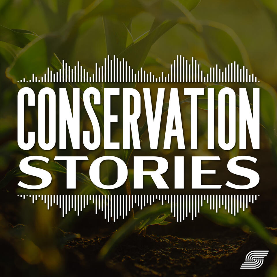 Conservation Stories
