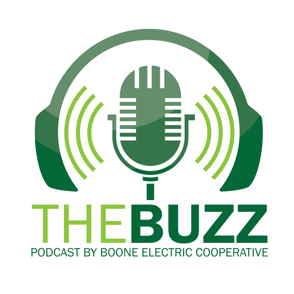 The Buzz