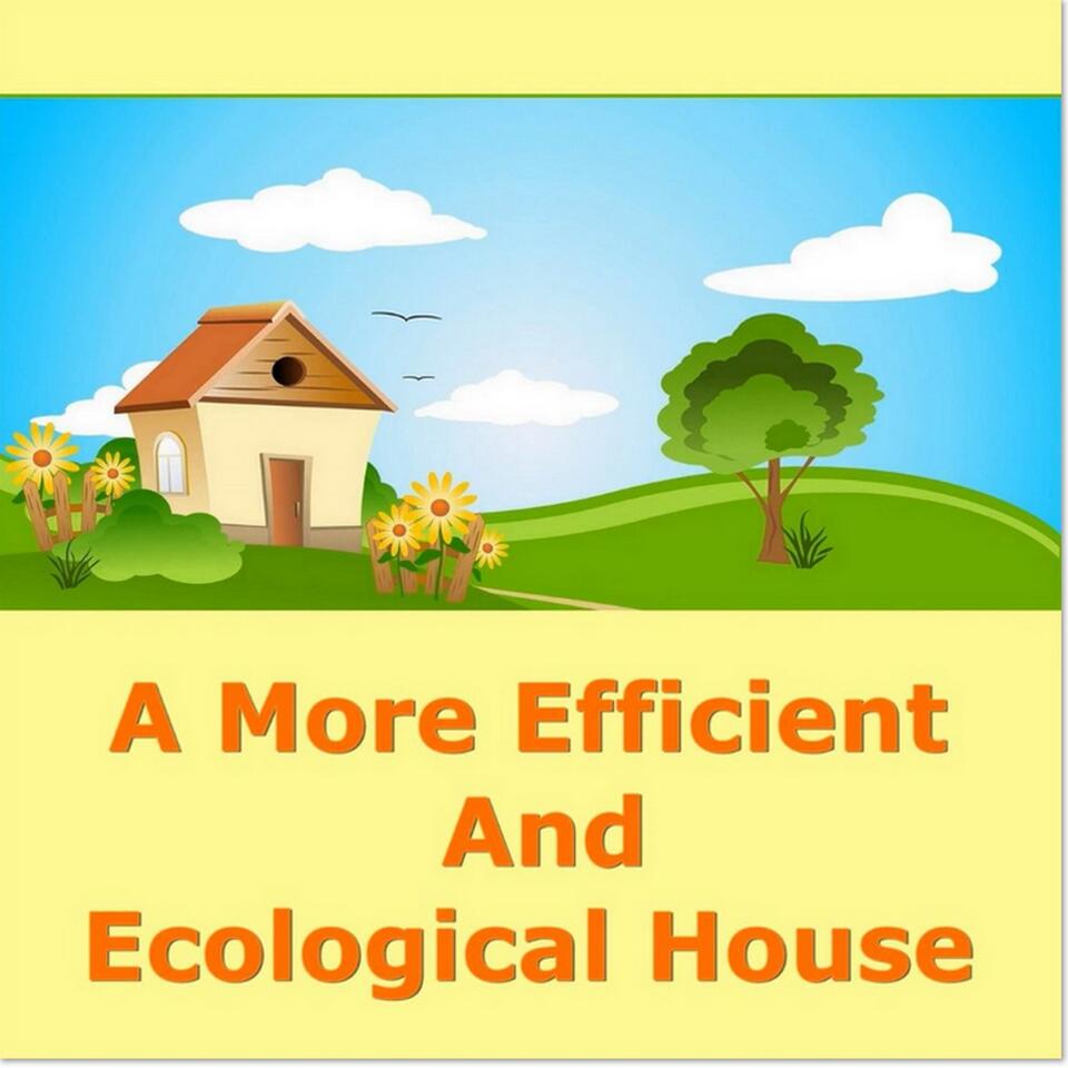 A More Efficient and Ecological House