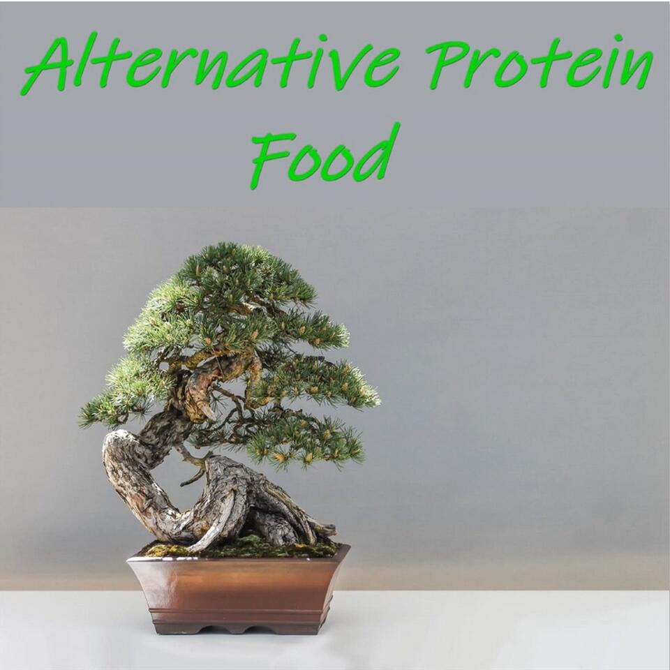 Alternative Protein Food