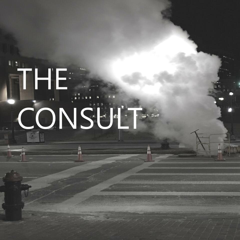 THE CONSULT