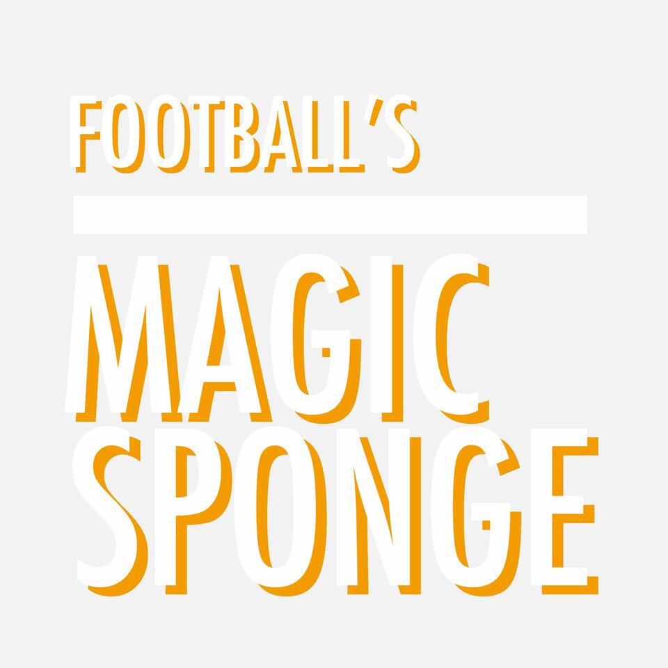 Footballs Magic Sponge