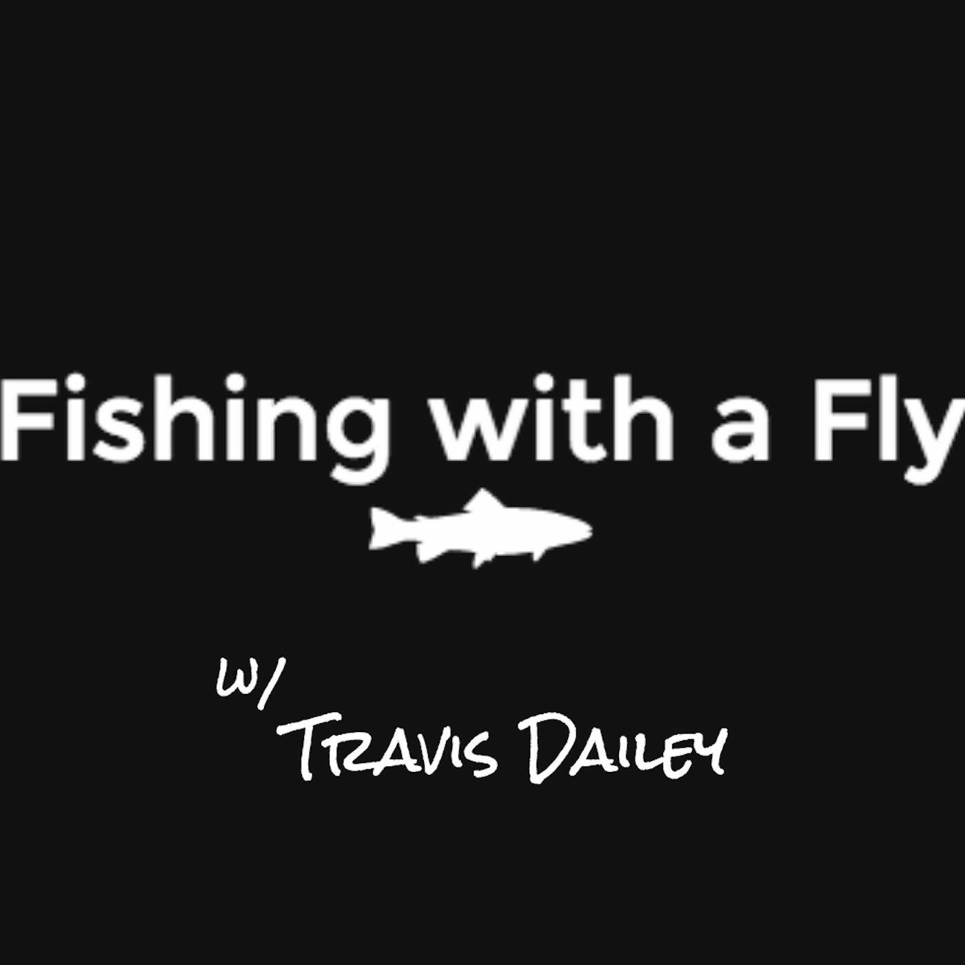 I had a fly. One Fly to Fly two Flies to Fly.