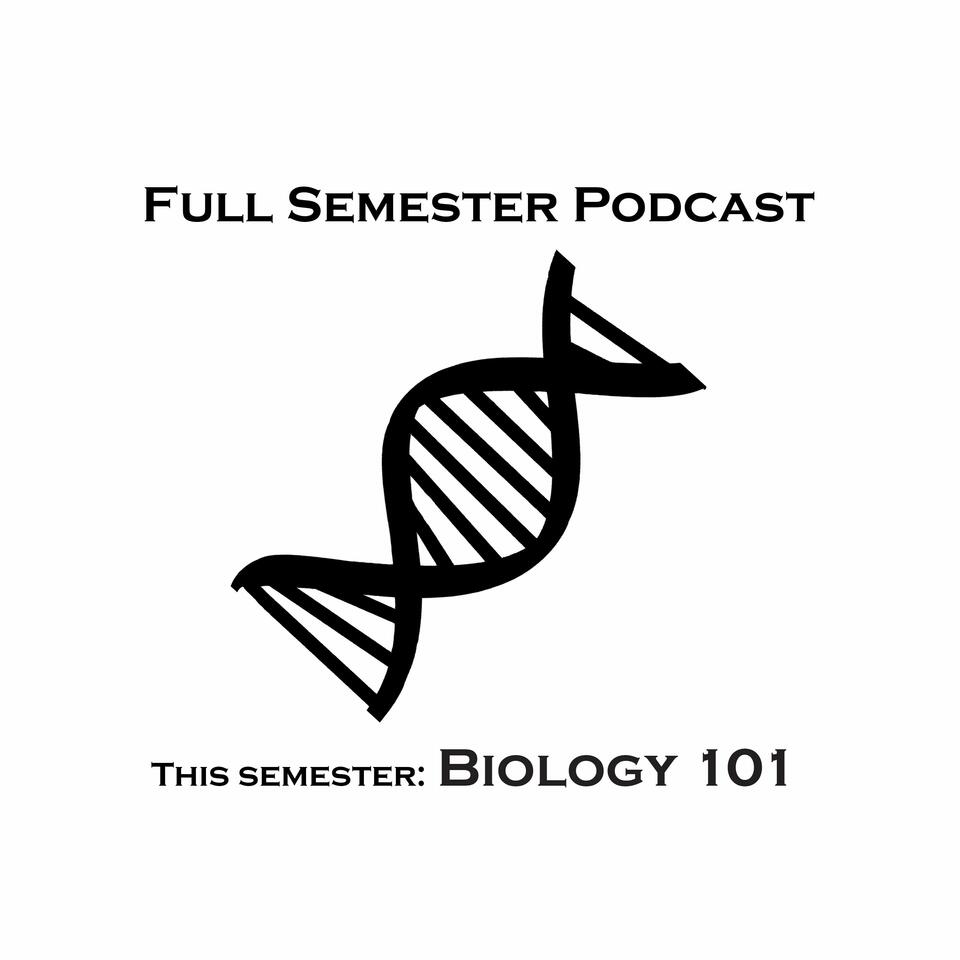 Full Semester Podcast