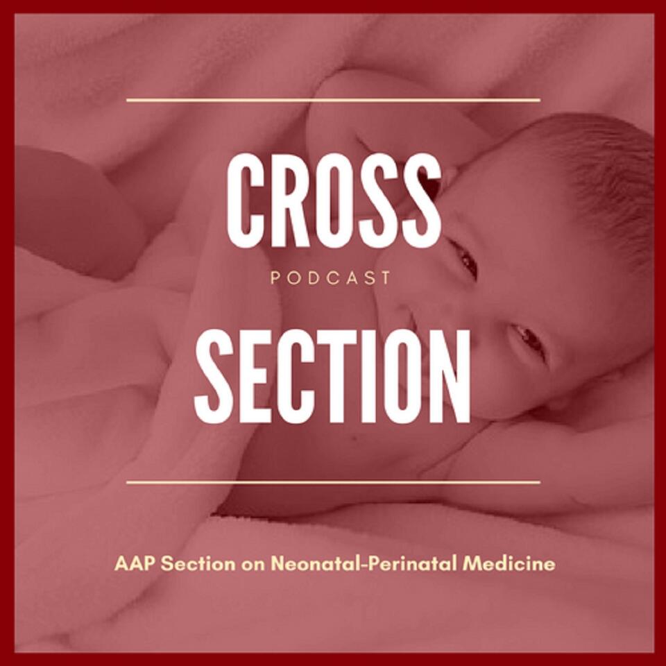 Cross Section (AAP Neonatal-Perinatal)