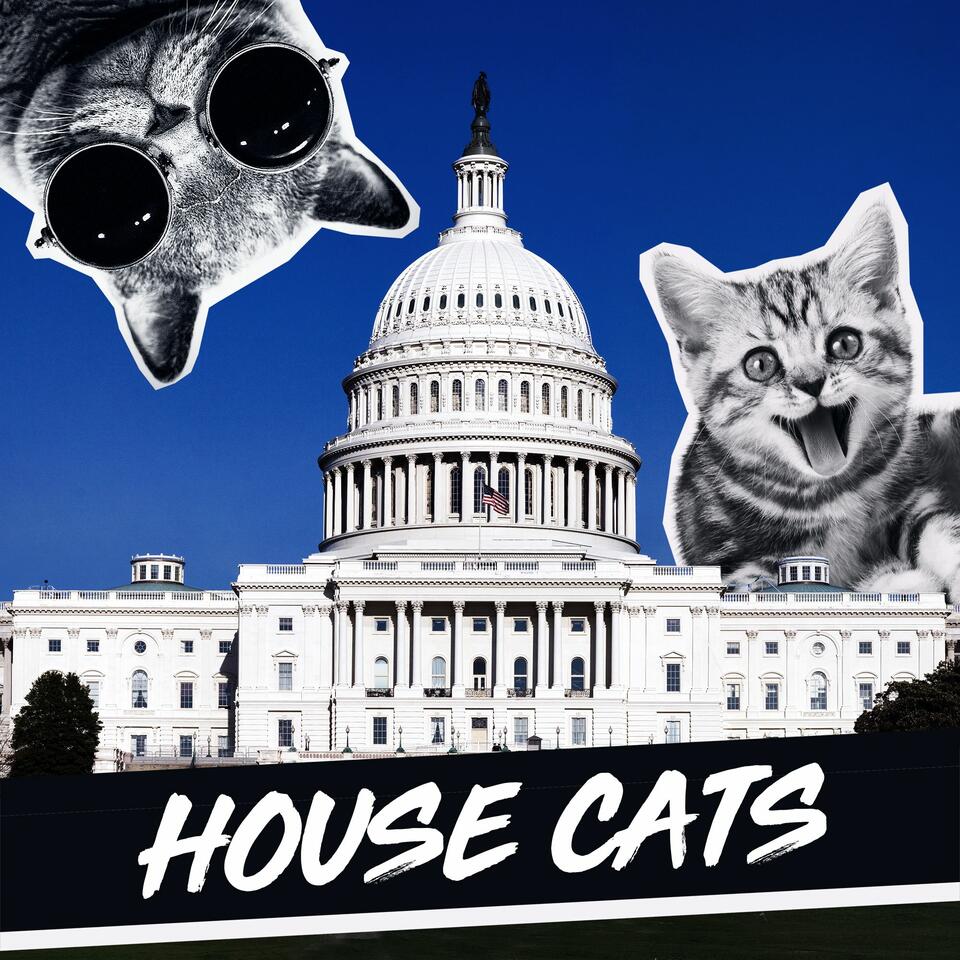House Cats