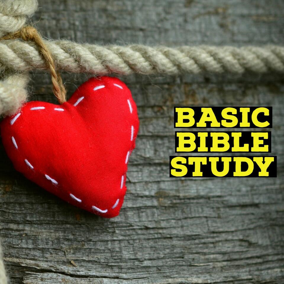 Basic Bible Study