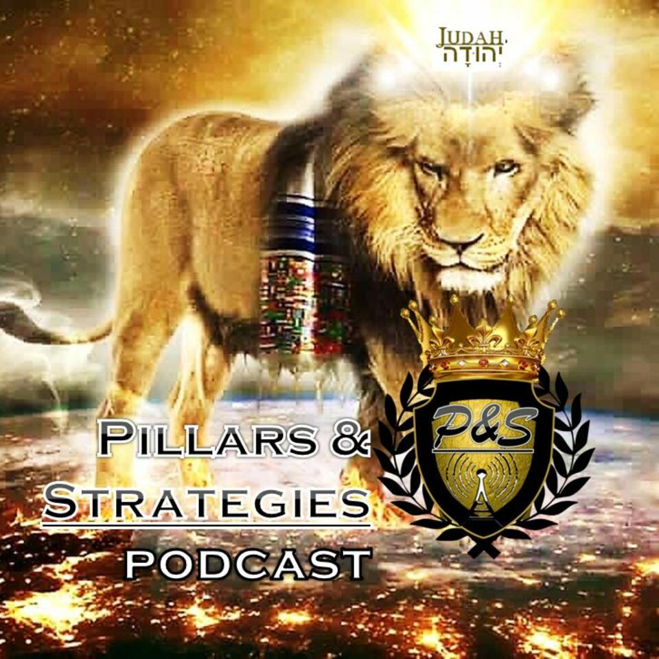 PillarsAndStrategies