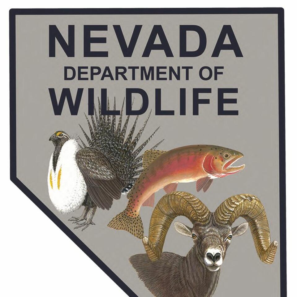 NDOW presents the Nevada Wild Podcast