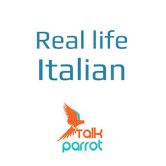 Talk Parrot
