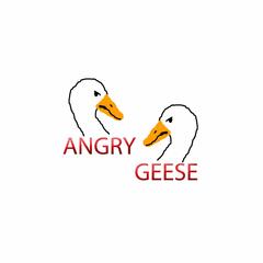 Angry Geese