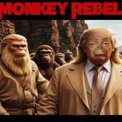 Show sample for 11/7/24: MONKEY REBELLION - Ground Zero Media