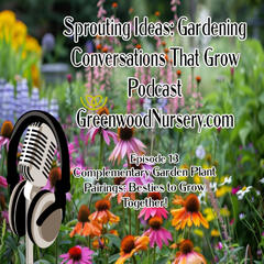 Greenwood Nursery Podcast