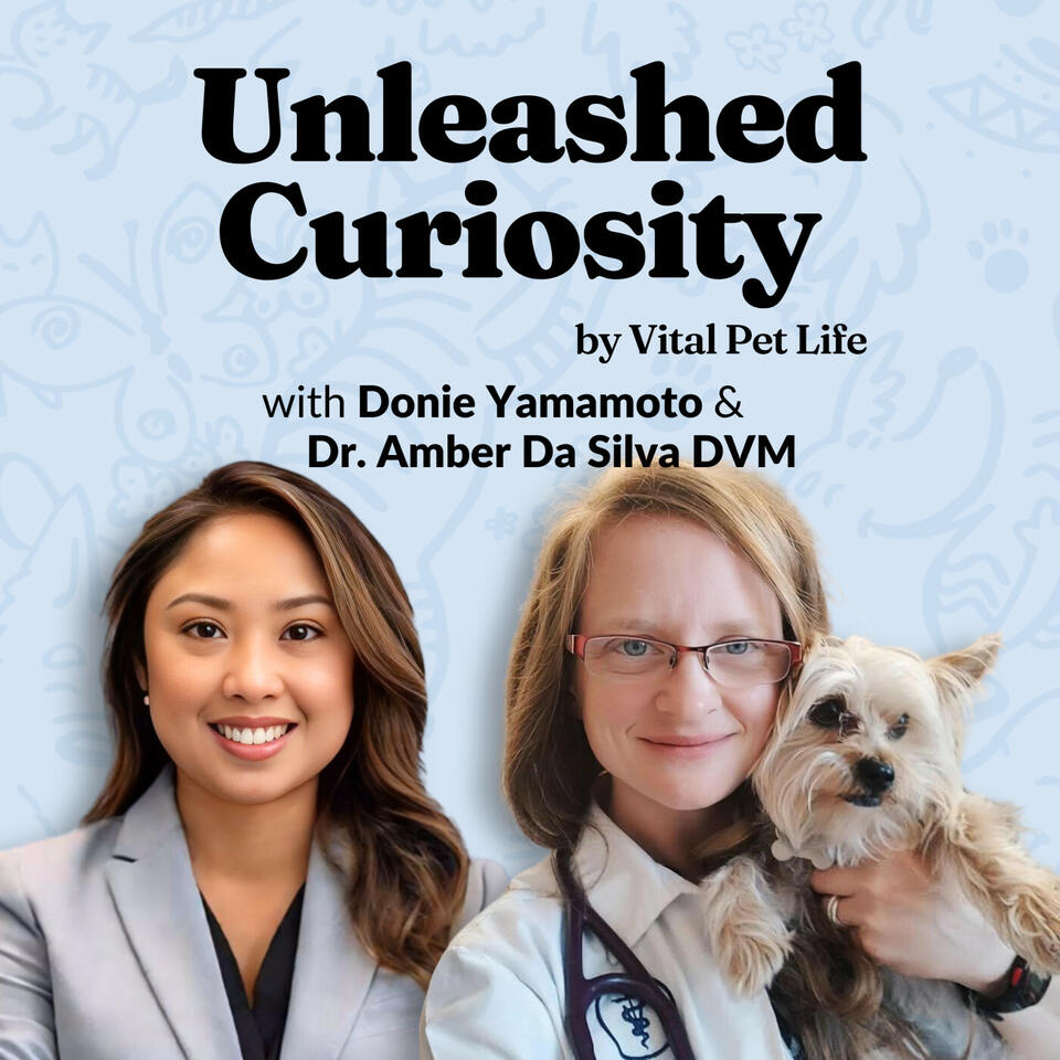 Unleashed Curiosity by Vital Pet Life