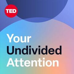A Problem Well-Stated is Half-Solved — with Daniel Schmachtenberger - Your Undivided Attention