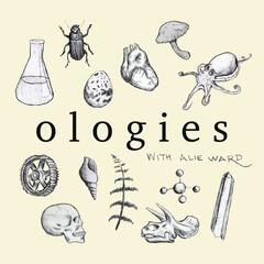 Pedagogology (SCIENCE COMMUNICATION) with Bill Nye - Ologies with Alie Ward