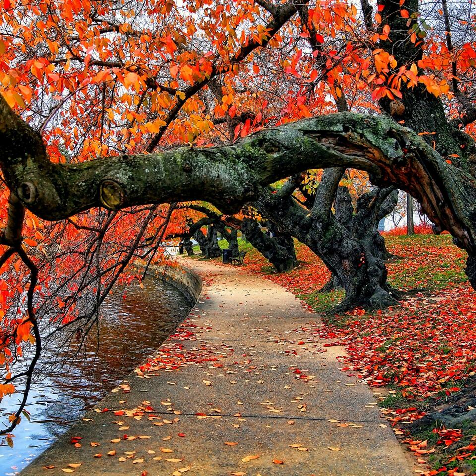 Stress Factor Drum & Bass Podcast