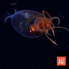 Science Friday