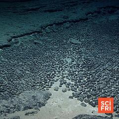 Science Friday