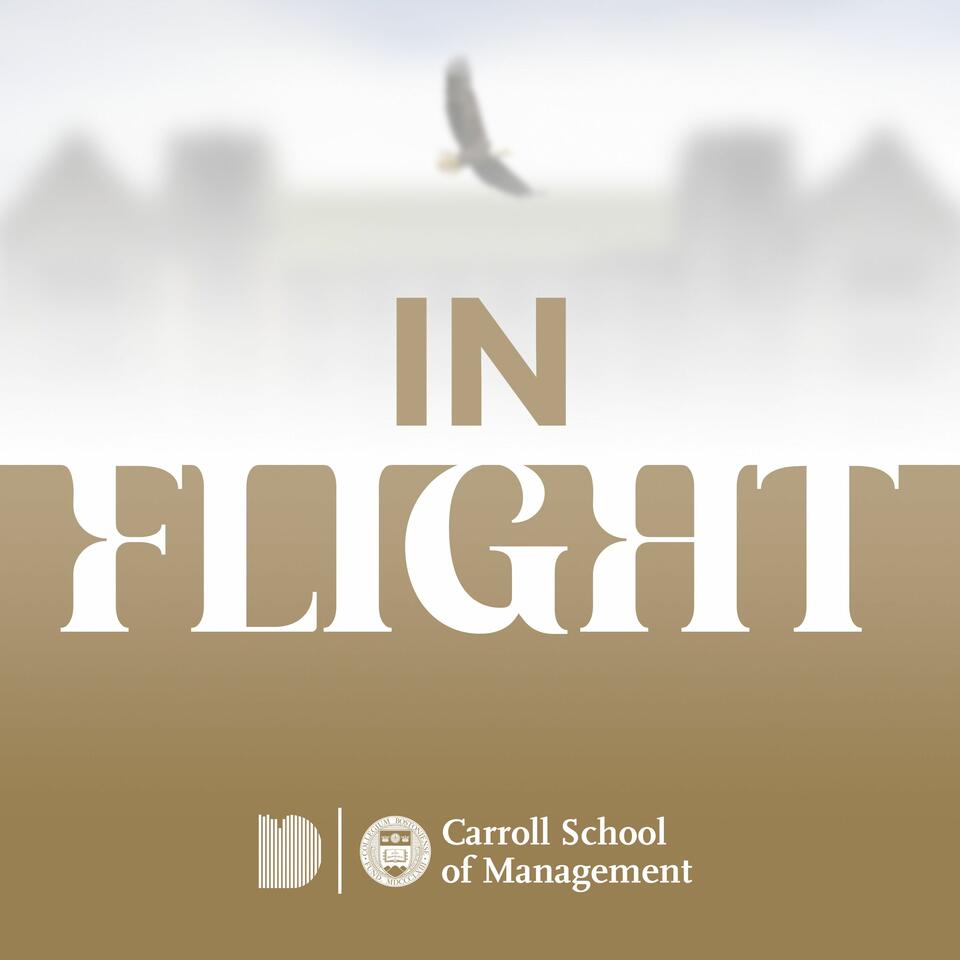 In Flight
