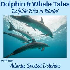 Dolphin & Whale Tales, Wisdom from the Deep