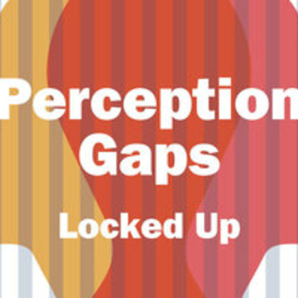Perception Gaps