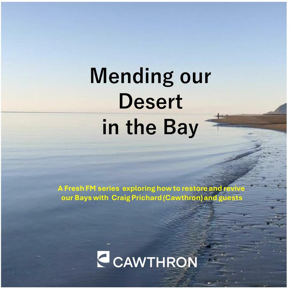 Mending Our Desert in the Bay