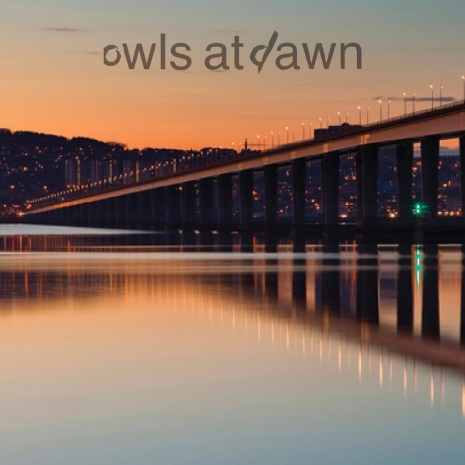 Owls at Dawn