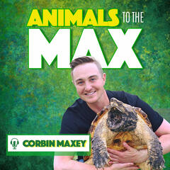 Animals To The Max Podcast