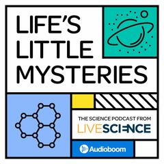 46: Mysterious Elephants - Life's Little Mysteries