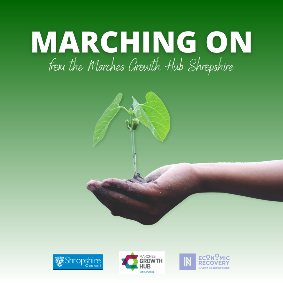 Marching On from Marches Growth Hub
