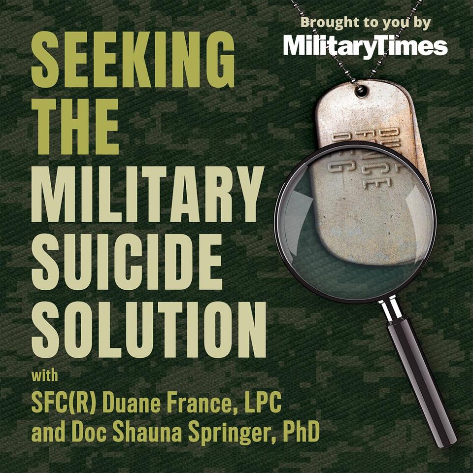Seeking the Military Suicide Solution