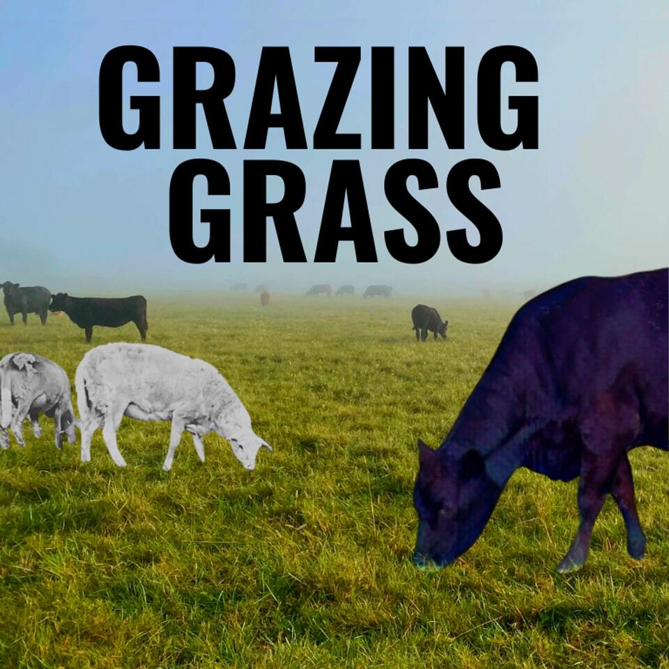 Grazing Grass Podcast sharing Regenerative Ag Stories