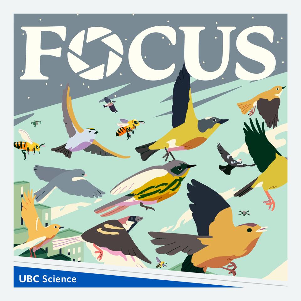 The UBC Focus Podcast