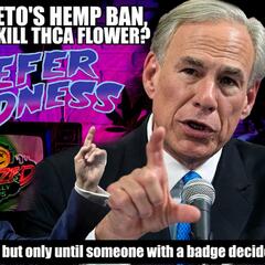 Blazed Weekly News