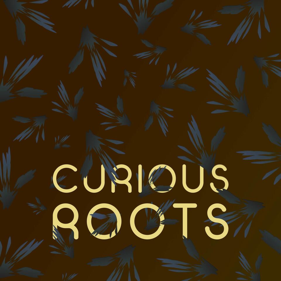 Curious Roots