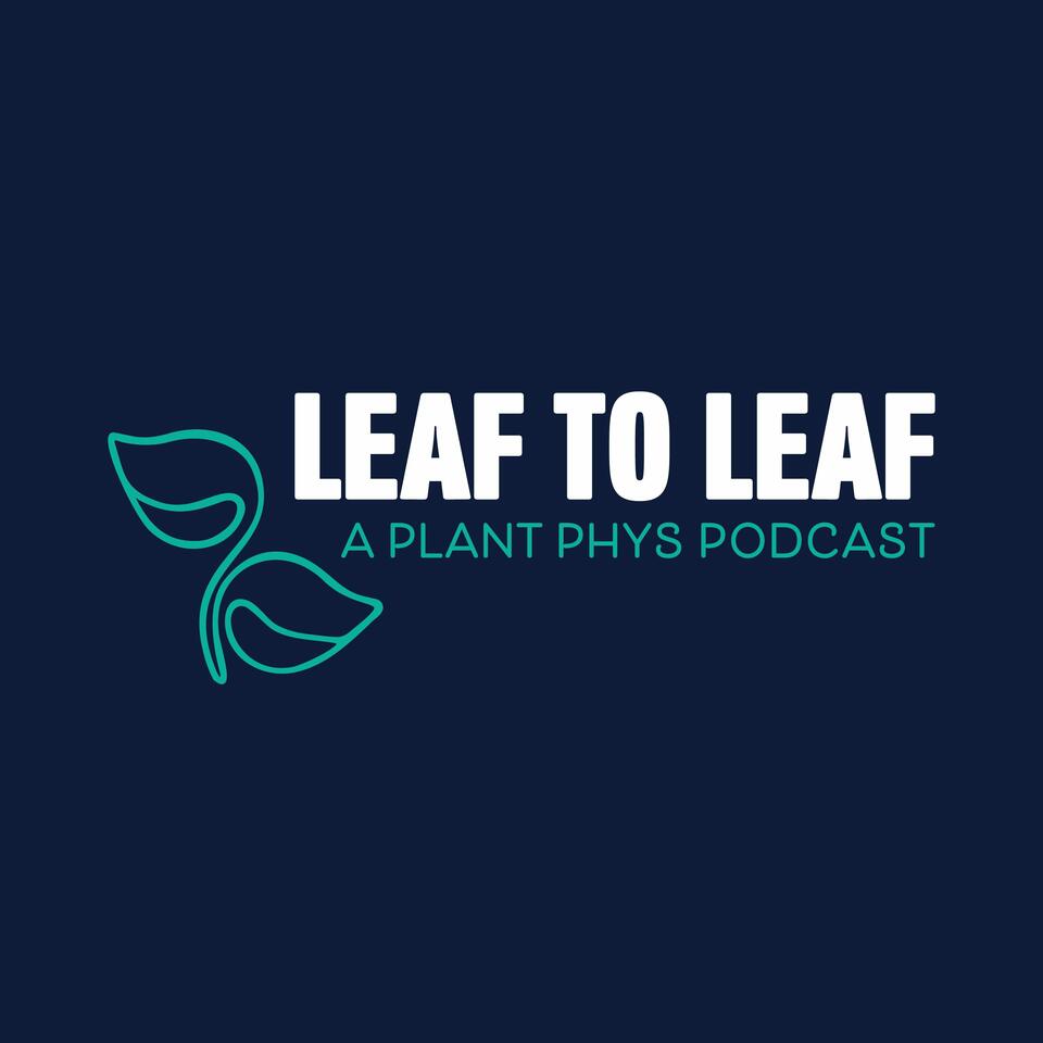 Leaf to Leaf