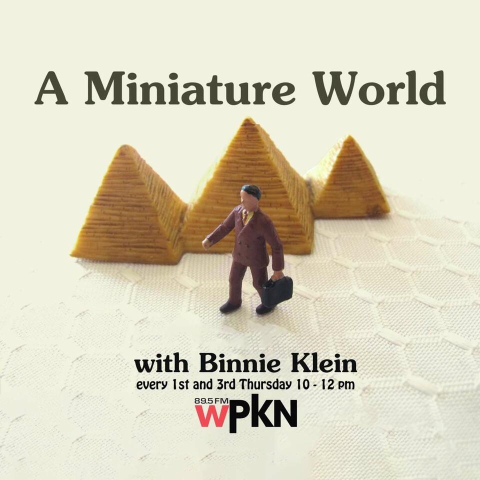 A Miniature World with Binnie Klein