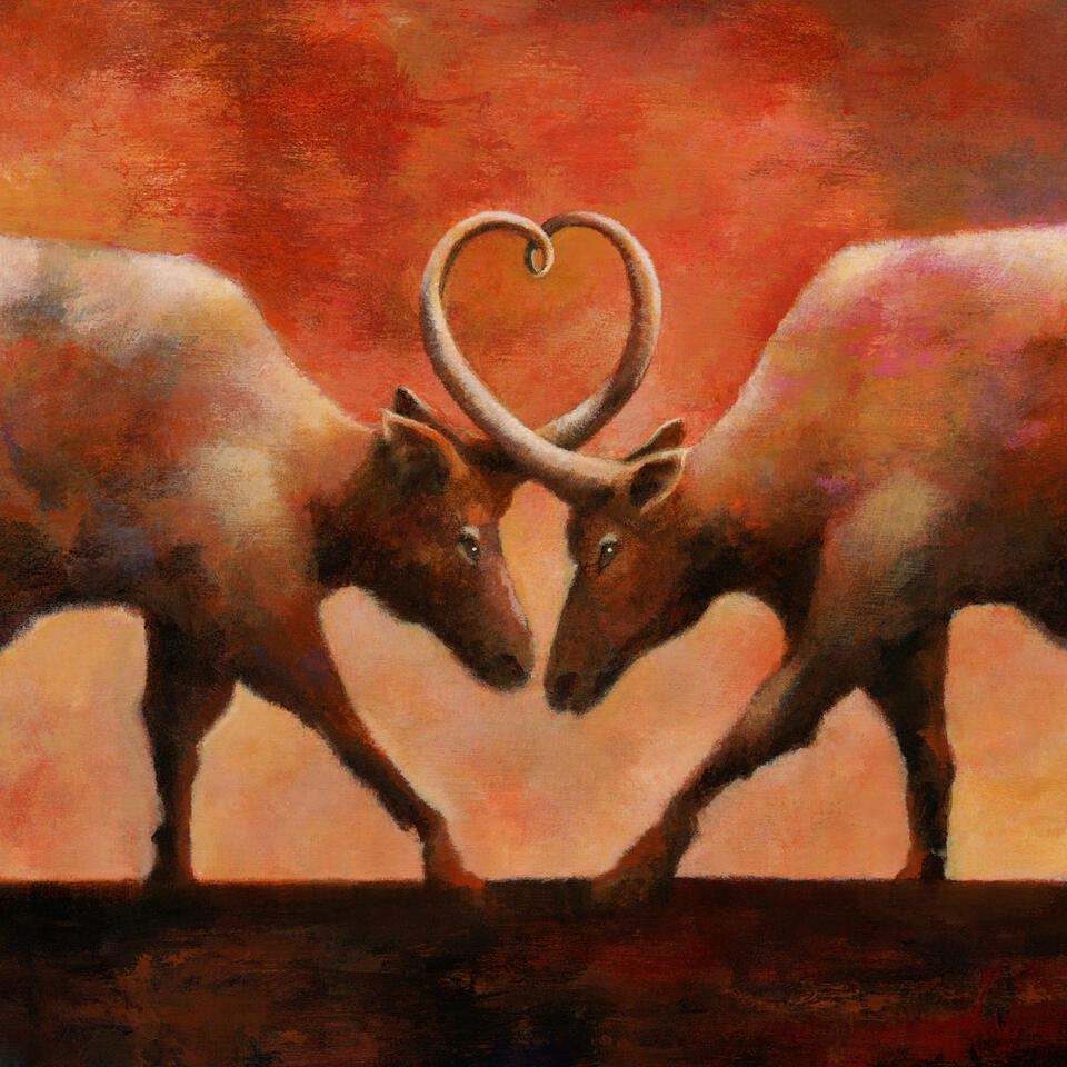 Why Divorce: 5 Reasons to Leave