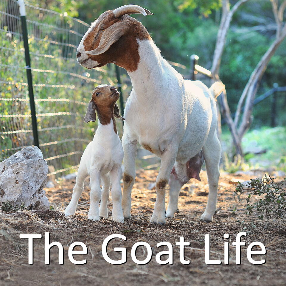 The Goat Life Podcast